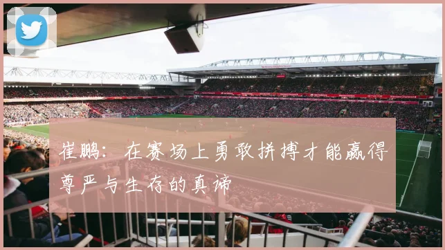 崔鹏：在赛场上勇敢拼搏才能赢得尊严与生存的真谛