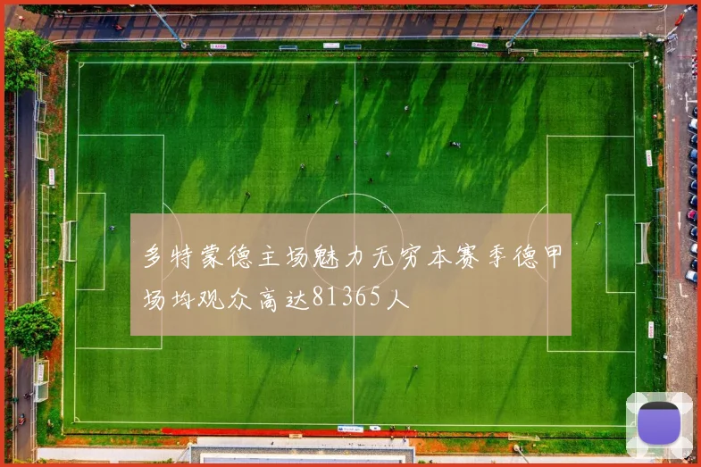 多特蒙德主场魅力无穷本赛季德甲场均观众高达81365人