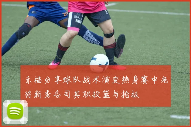 乐福分享球队战术演变热身赛中老将新秀各司其职投篮与抢板