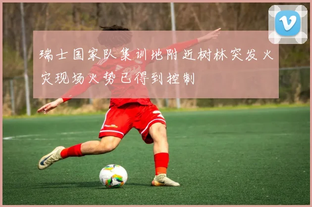 瑞士国家队集训地附近树林突发火灾现场火势已得到控制