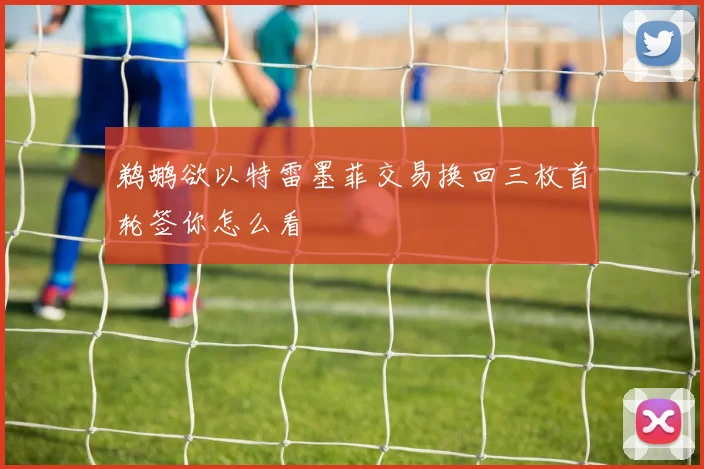 鹈鹕欲以特雷墨菲交易换回三枚首轮签你怎么看